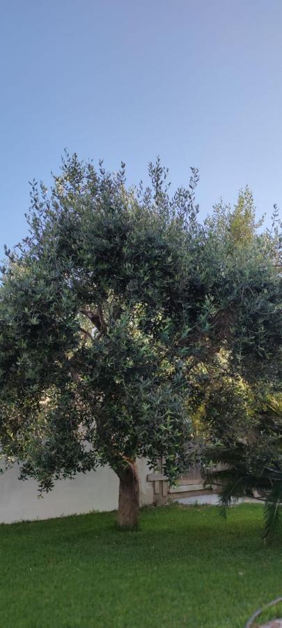 La Bella Dimora Bed & Breakfast Otranto Exterior foto